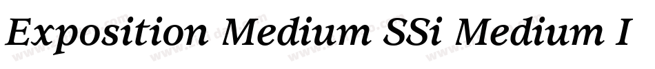 Exposition Medium SSi Medium Italic字体转换